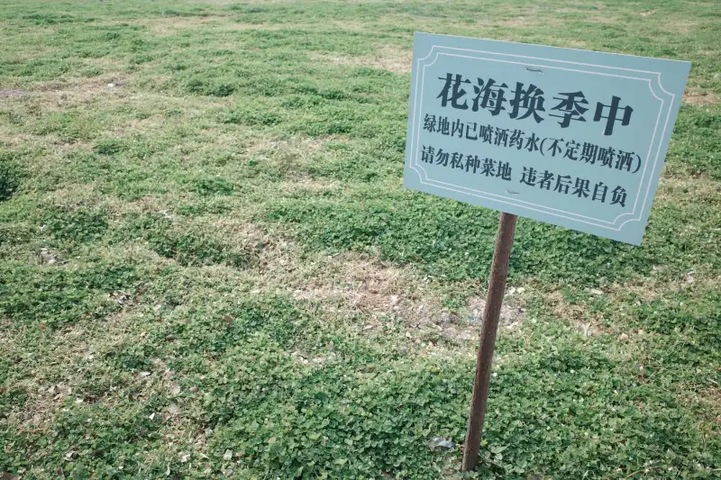 2025年智能设备技术发展趋势与供应链优化策略